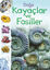 Doğa Kayaçlar ve Fosiller